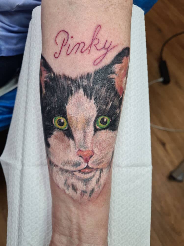 Tattoo KD Issum Cover-up Katze